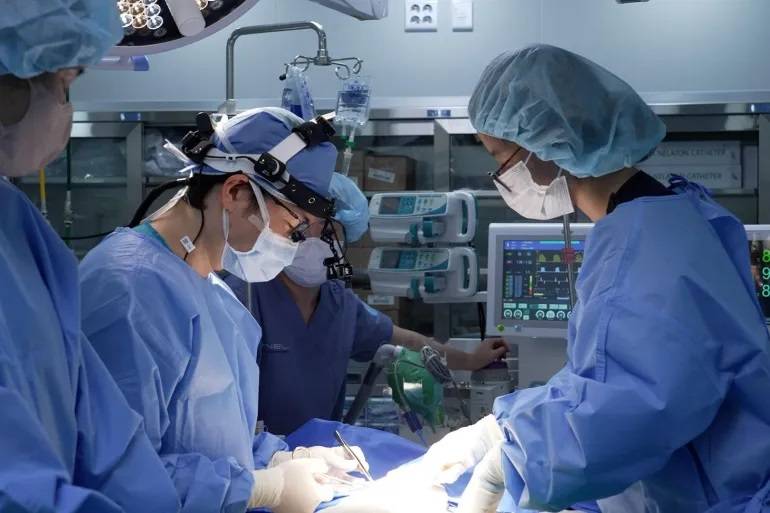 لماذا تزداد الأمراض المزمنة رغم تقدم الطب؟