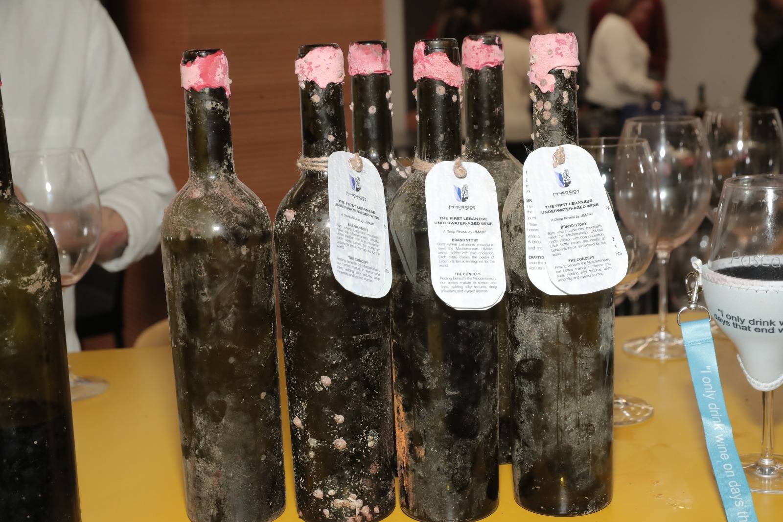 تجربة جديدة في صناعة النبيذ اللبناني تحت سطح البحر... تحاكي البيئة