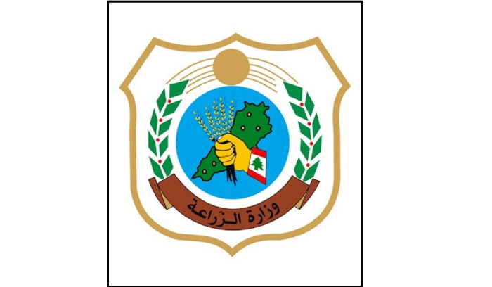 وزارة الزراعة تضبط سوق البطاطا