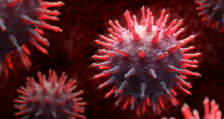 تحذير من خطر فيروسين من أصل حيواني