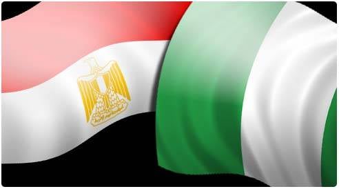 عبد العاطي ونظيره النيجيري يناقشان القضايا الإقليمية والدولية