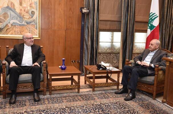 بري استقبل السفير الإيراني وكركي