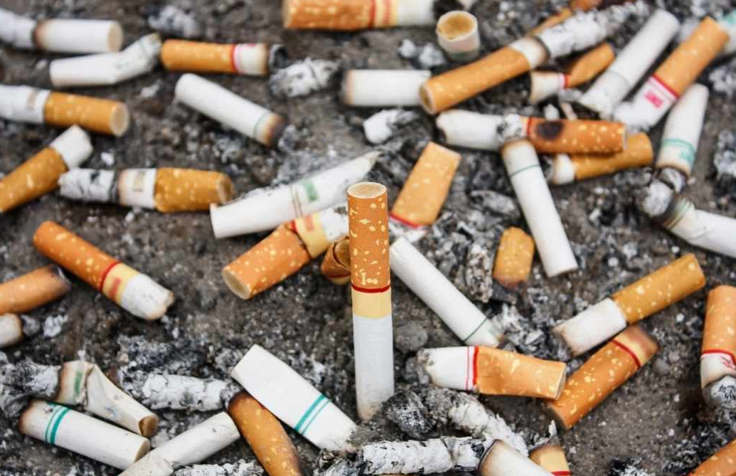 من نفايات سامة إلى موارد قيمة.. أعقاب السجائر تتحول إلى مصدر للطاقة!