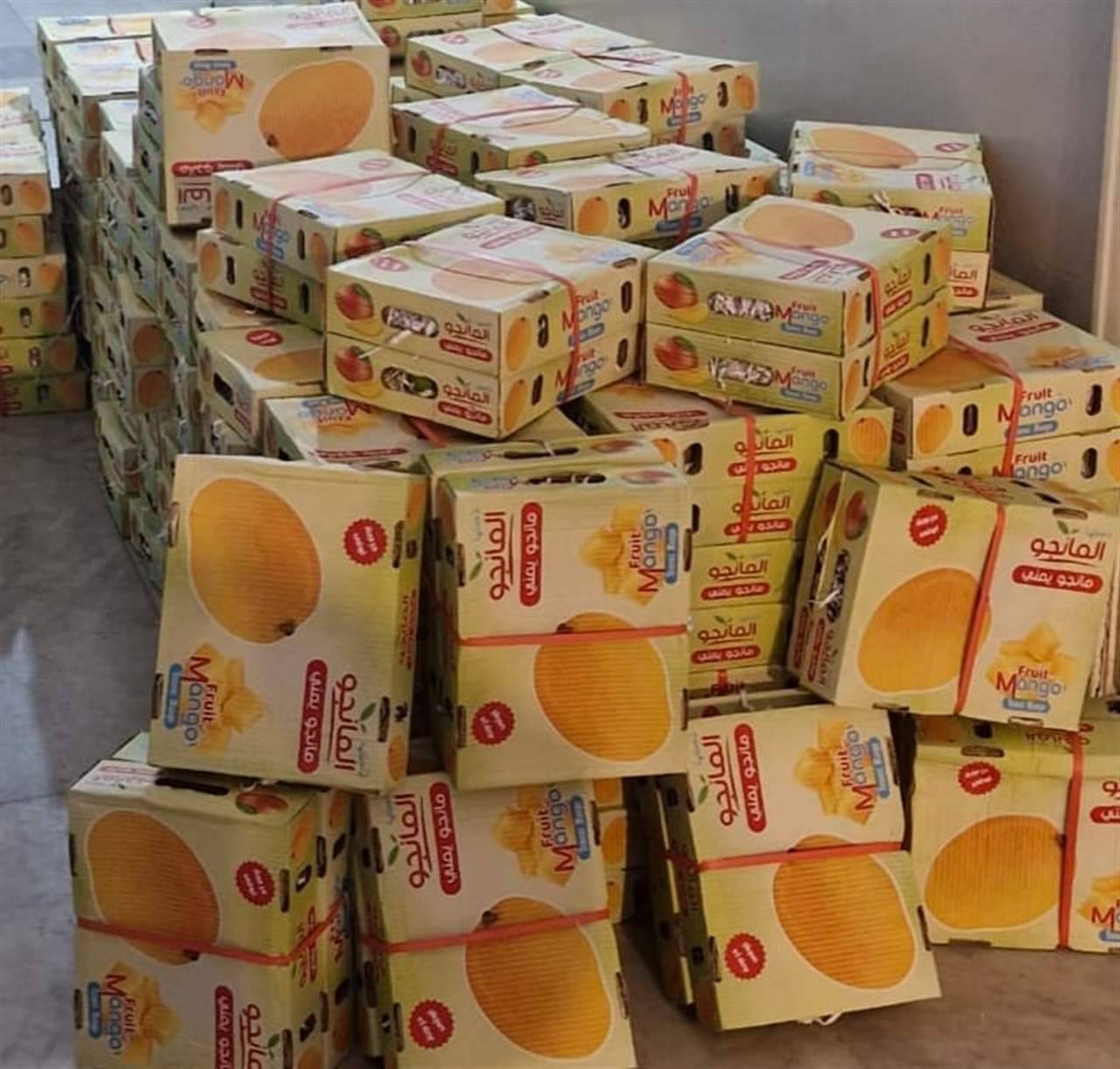 ضابطة طرابلس تحبط عملية تهريب مانغا