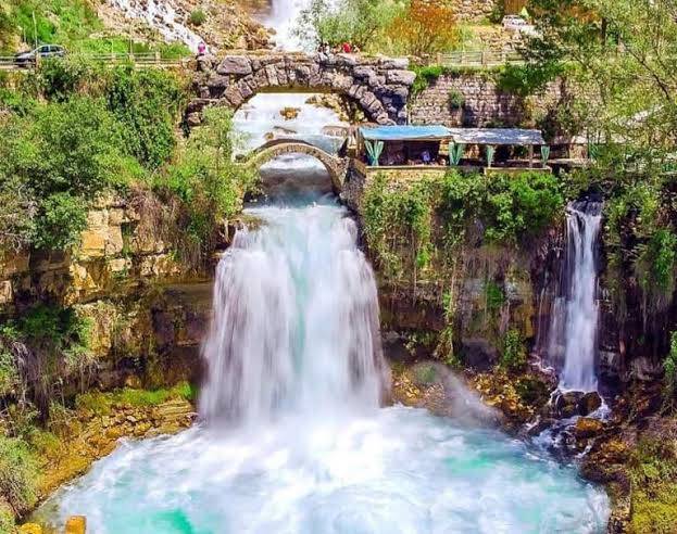 أبي راشد: الشلالات أساس التوازن البيئي