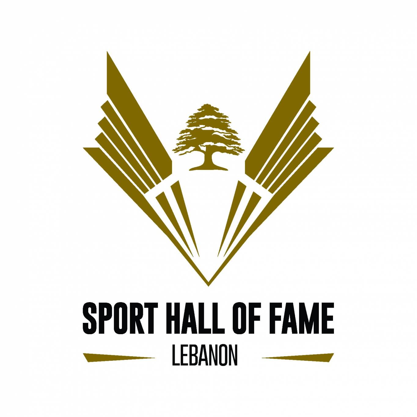 مجلس أمناء قاعة مشاهير الرياضة - لبنان Sport Hall of Fame
أسماء بارزة تعكس مصداقية عمل الجمعية