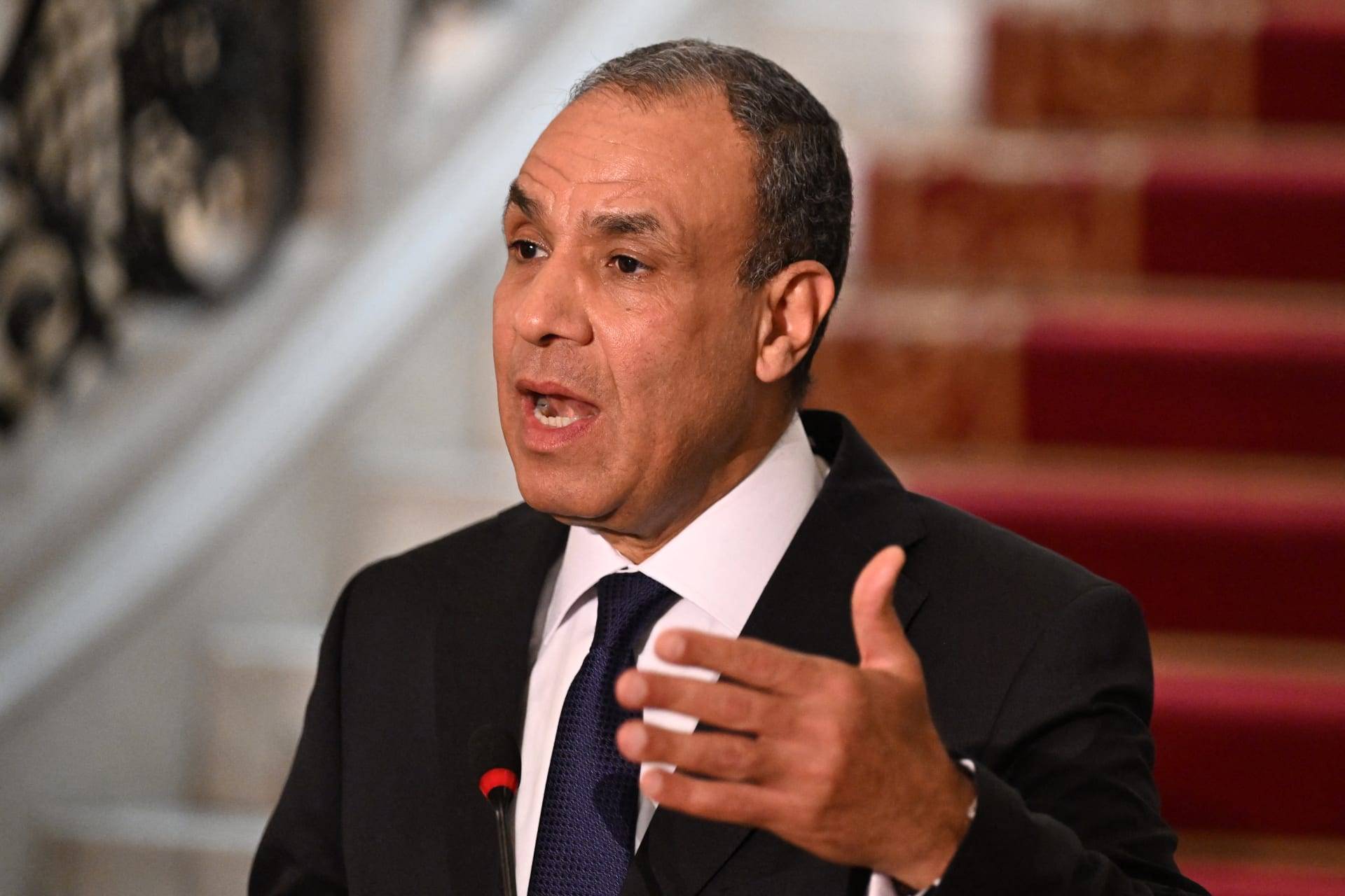 عبد العاطي بحث مع مدير 