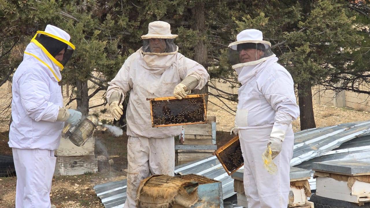 مُربّو النحل يطالبون وزارة الزراعة بمساعدتهم
بهدف حماية قطاع مهدّد بالتراحع والزوال