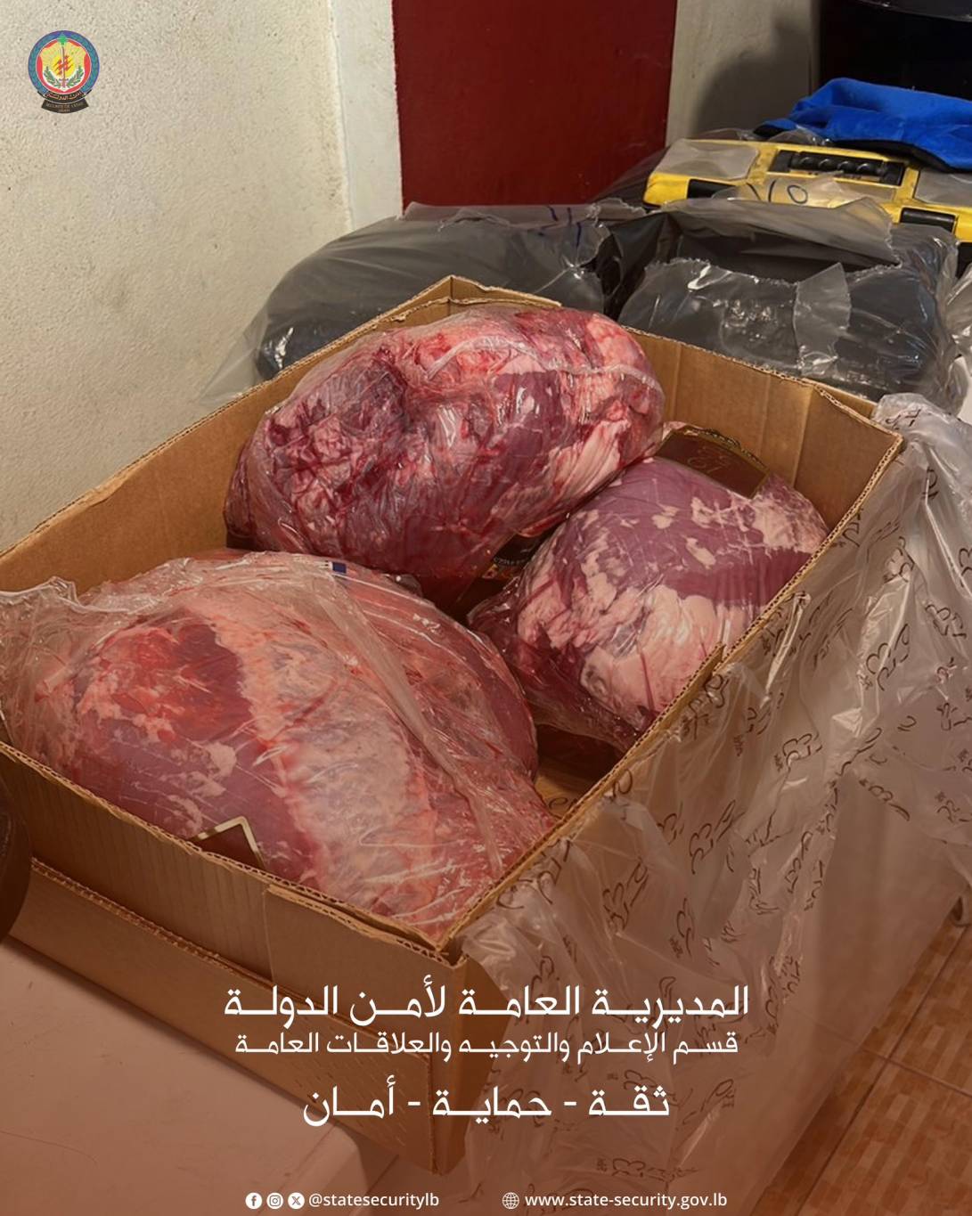 كارثة غذائية في صور: ضبط لحوم وأسماك فاسدة