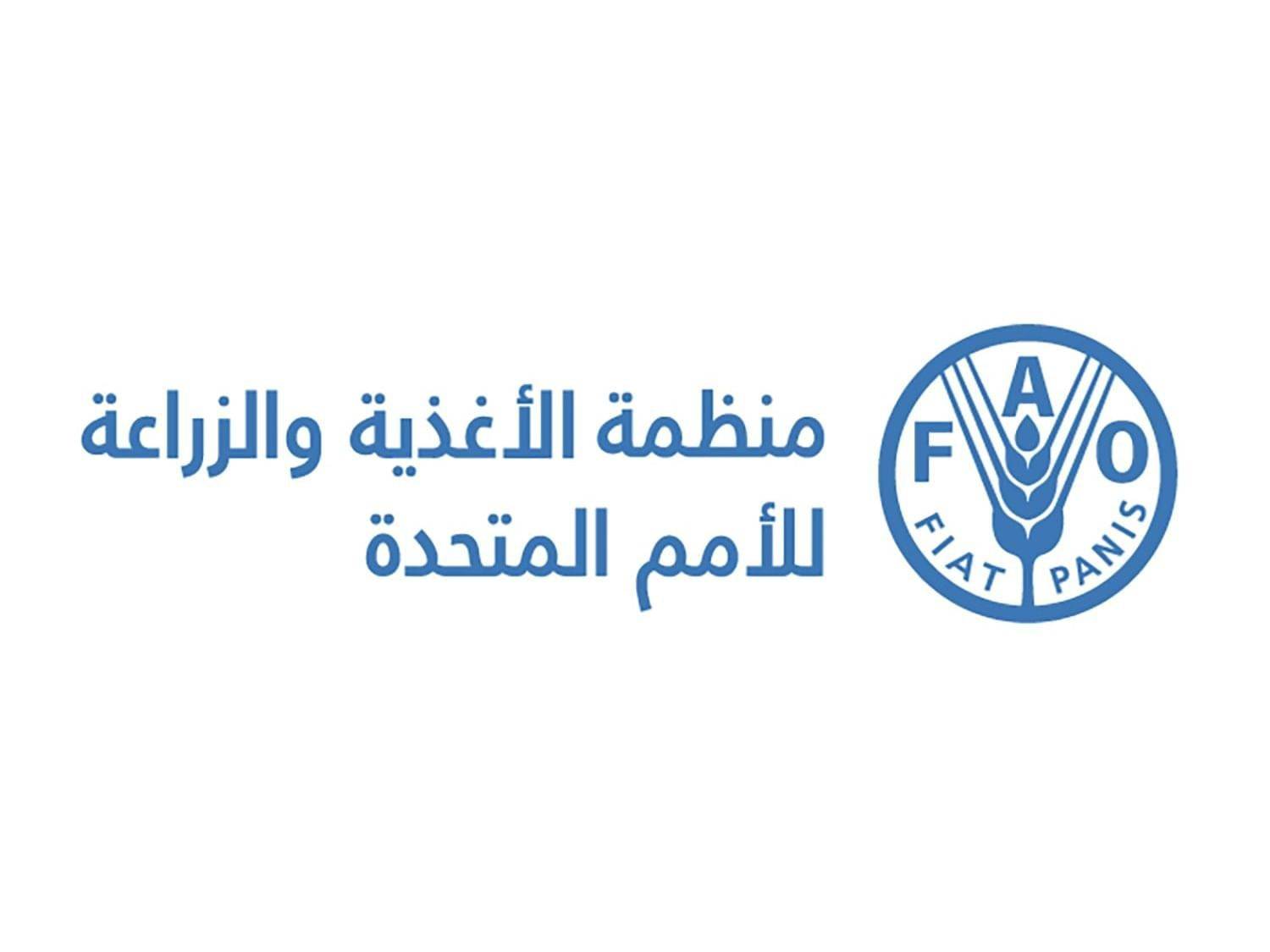 لبنان يرأس مجموعة الشرق الأدنى في “الفاو” لعام 2026