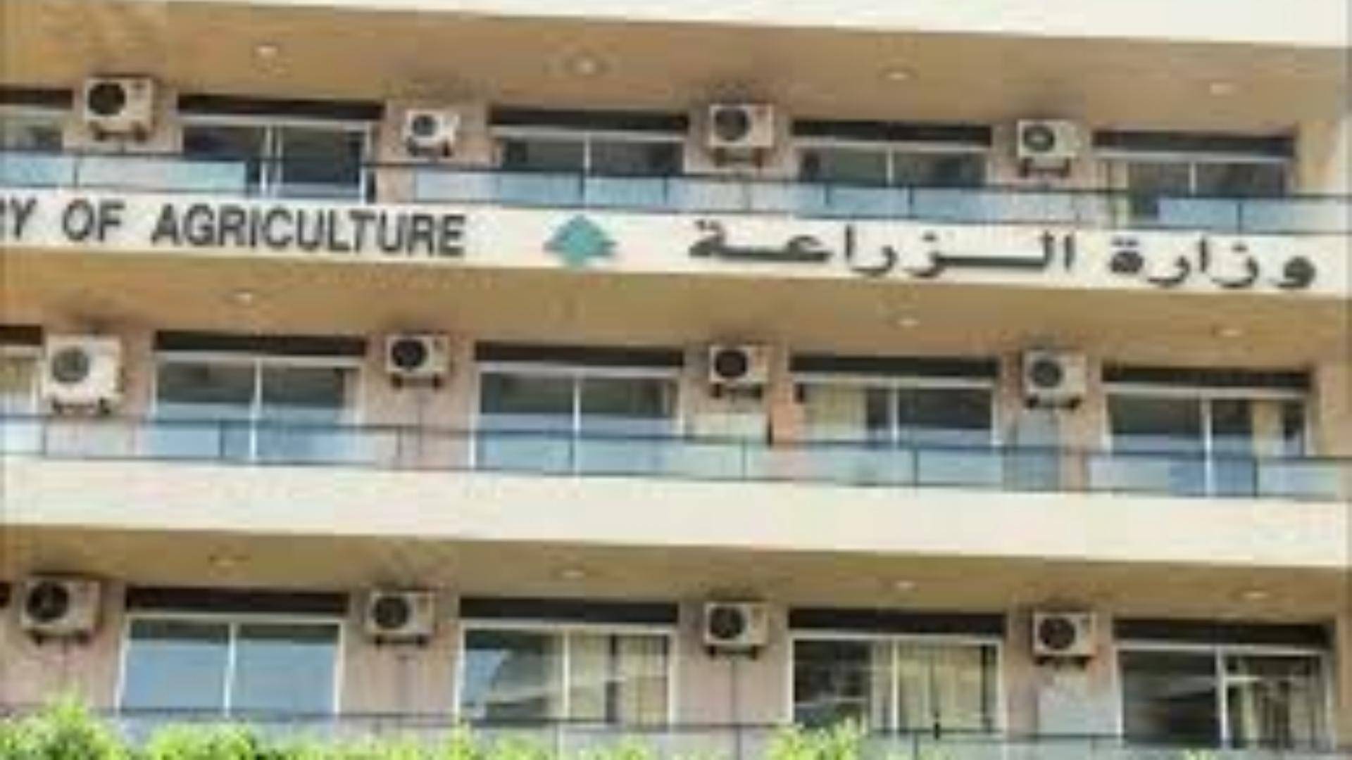 وزارة الزراعة: الإنتاج المحلي متوافر ومستقرّ