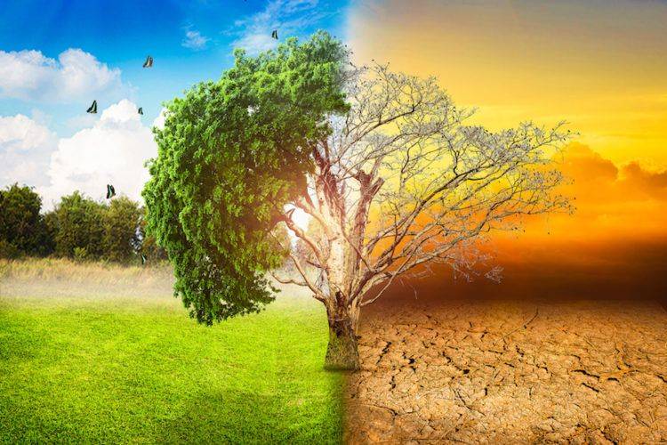 دراسة: الحرارة قد تتسبب بـ700 ألف وفاة وخسائر بـ3.68 مليار دولار بحلول 2050