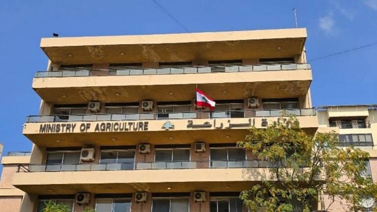 "الزراعة" في مناسبة عيد الفطر: على أمل عودة كل مزارع إلى أرضه