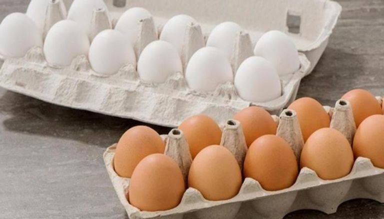 5 خطوات لاختيار البيض الصحي والأفضل