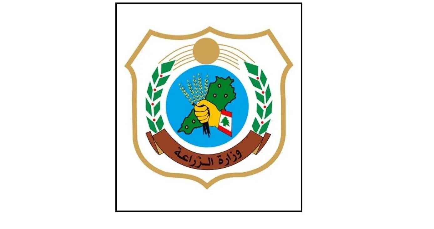 الزراعة تنقل المناحل إلى مناطق آمنة لحماية إنتاج العسل
