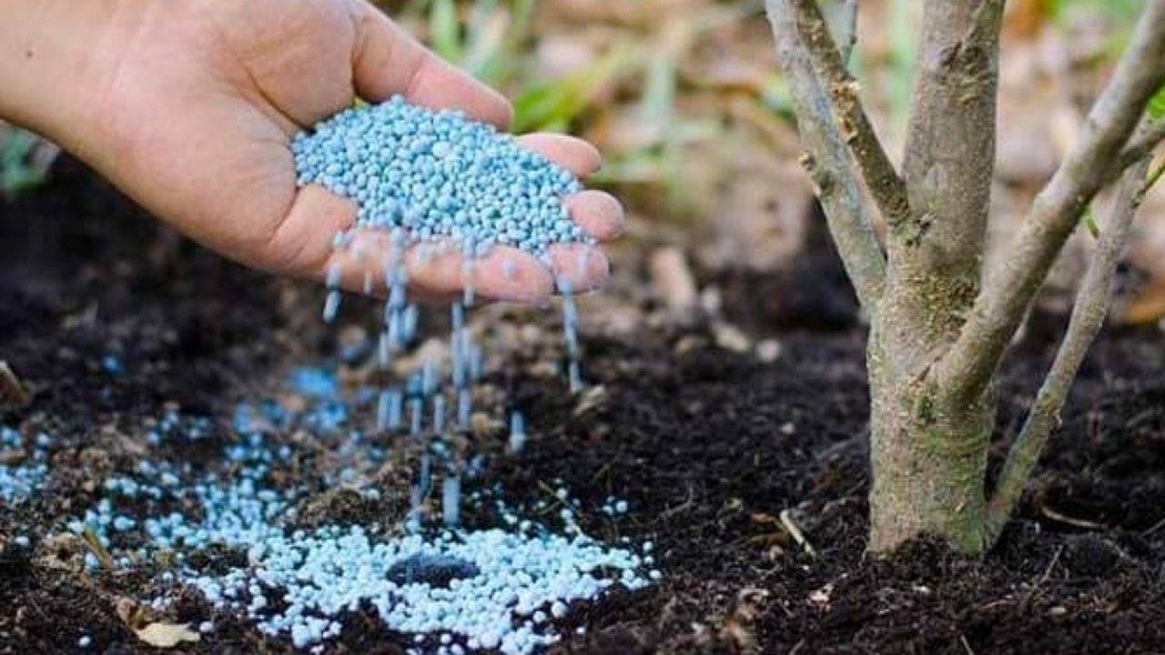 أزمة مضيق هرمز.. أسعار الأسمدة المعدنية ترتفع بنحو 40%