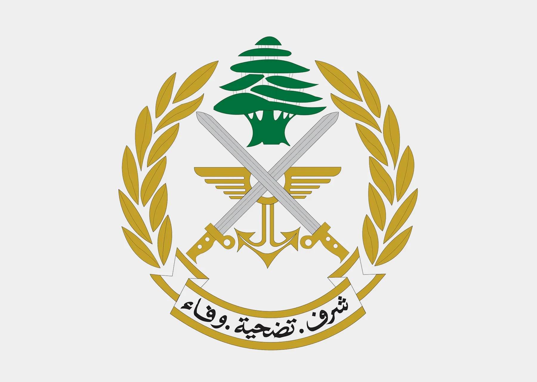 الجيش: لا وجود لمستأجرين جدد في المبنى المستهدف في عين سعادة