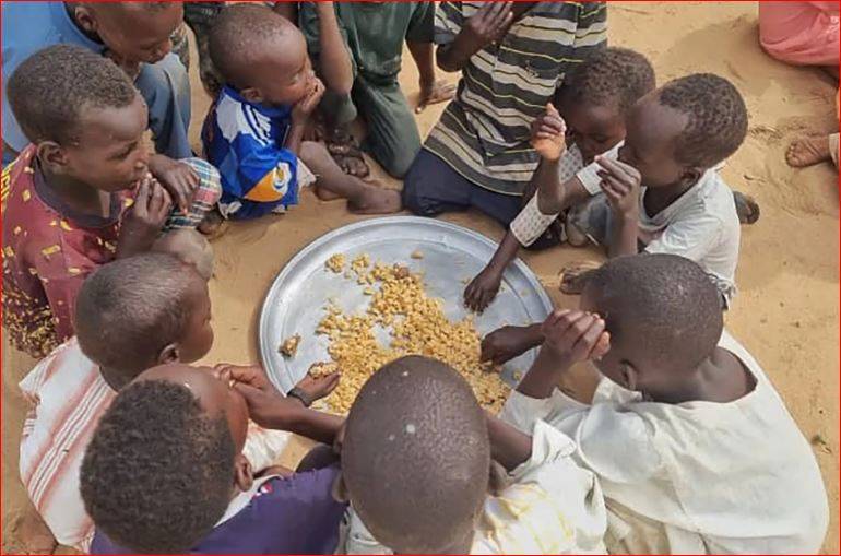 ملايين السودانيين يواجهون المجاعة ويكتفون بوجبة واحدة يومياً