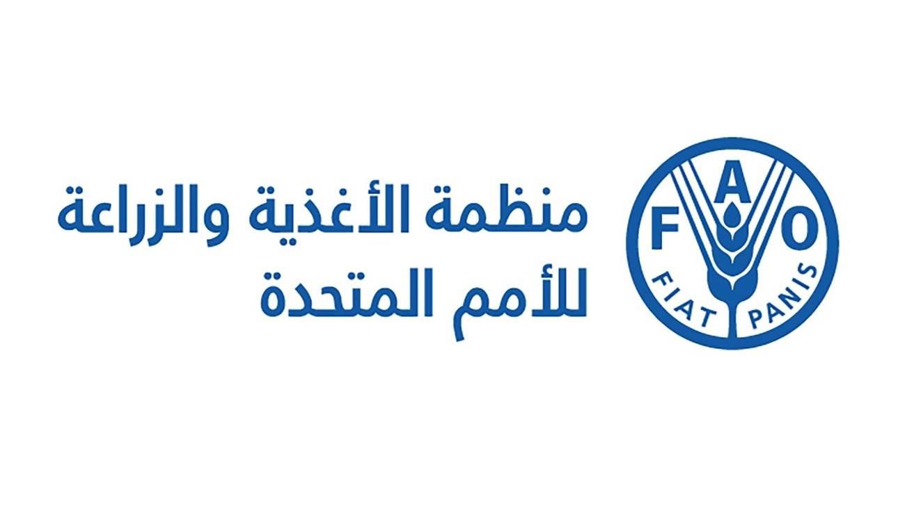 الفاو تحذر: إغلاق مضيق هرمز يهدد الأمن الغذائي العالمي