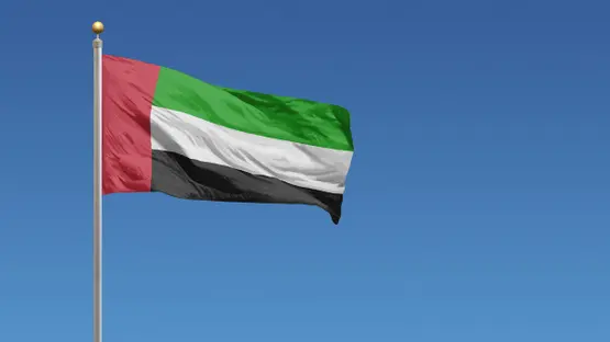 الإمارات ترحّب بقرار دولي يطالب إيران بوقف الهجمات على السفن