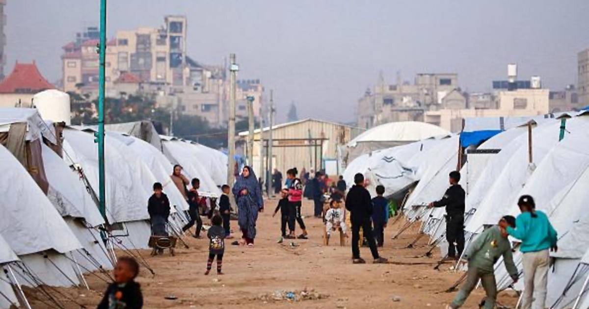 "أونروا": الجرذان تعض الأطفال في خيام غزة