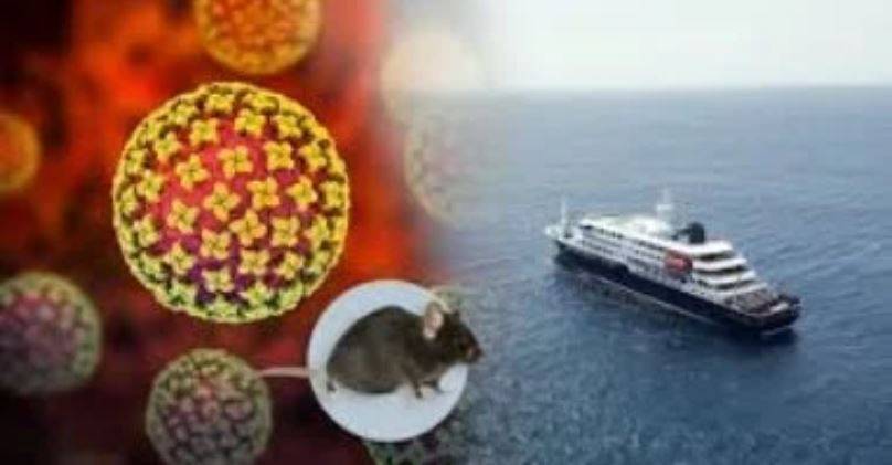 "هانتا" يعود الى الواجهة عالمياً… لا إصابات في لبنان
