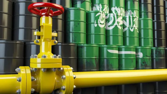 احتياطيات السعودية تقفز إلى نحو 495 مليار دولار