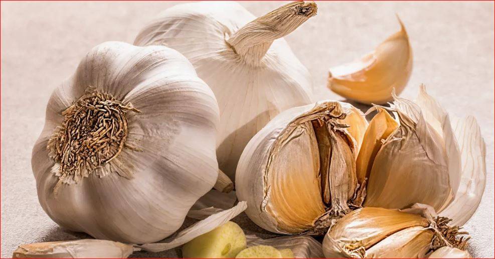 فوائد الثوم بين العلم والعادات الشعبية!