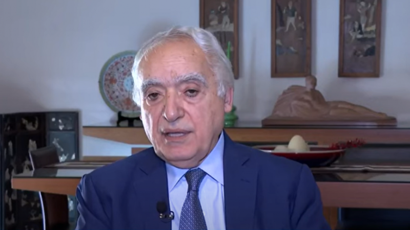سلامة والسفير الكويتي يبحثان تعزيز التعاون الثقافي بين البلدين