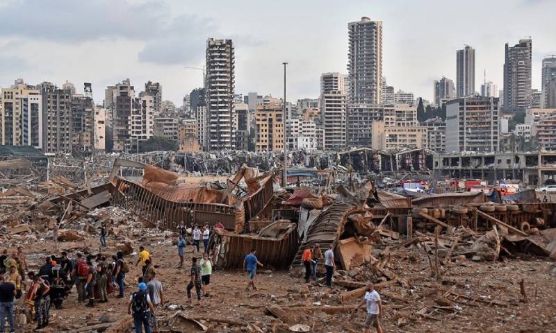 56 ألف هكتار متضرر… خبراء يحذرون من أزمة غذائية وبيئية في لبنان
