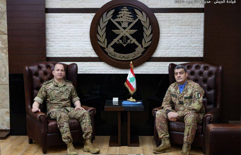 لقاء بين هيكل وأبانيارا لبحث التطورات ومرحلة ما بعد "اليونيفيل"