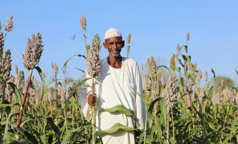 الحرب والجوع يهددان الموسم الزراعي في السودان