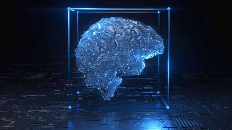 دراسة حديثة: أدمغة البشر المعاصرين تتقلص تدريجياً منذ آلاف السنين