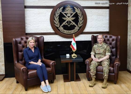 هيكل يستقبل بلاسخارت في زيارة وداعية ويبحث الأوضاع مع القنصل المصري