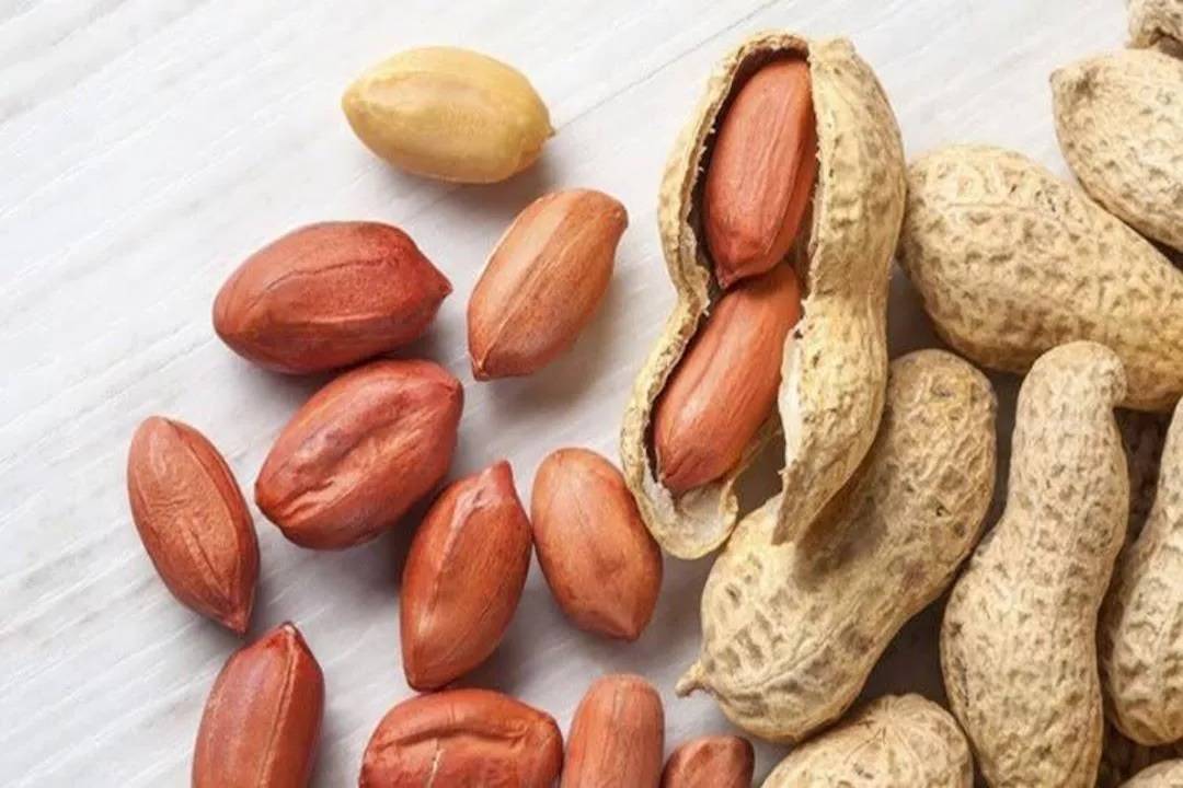 الفول السوداني على الإفطار.. غذاء صغير بفوائد كبيرة