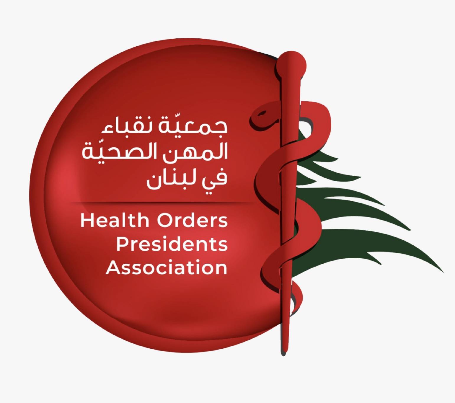 نقباء المهن الصحية: القطاع الصحي يواجه تحديات استثنائية في زمن الحرب