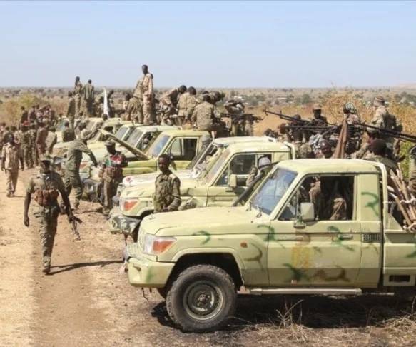 الجيش السوداني ينفذ عمليات عسكرية في محاور عدة جنوب البلاد