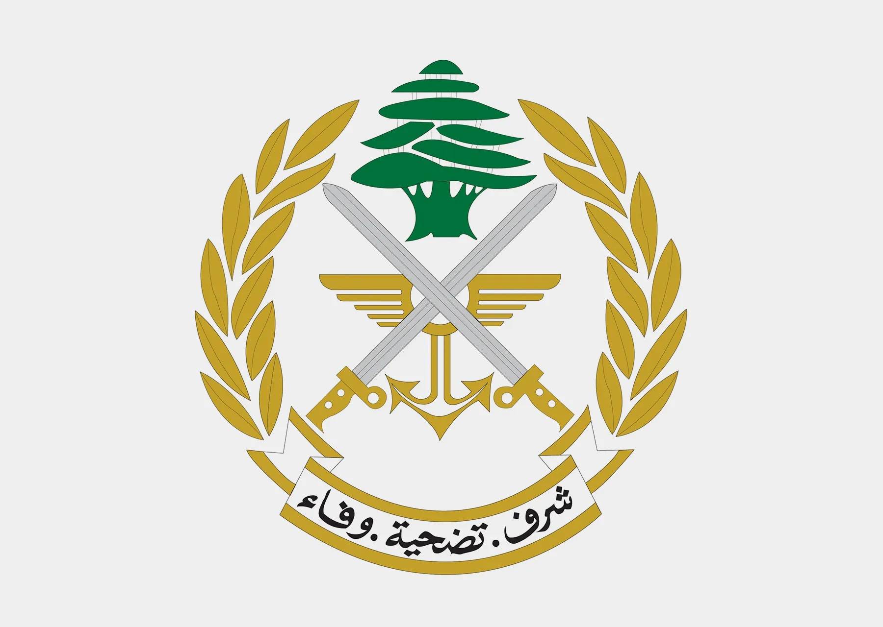 الجيش يداهم منزلًا في الشراونة ويضبط مخدرات وأسلحة حربية