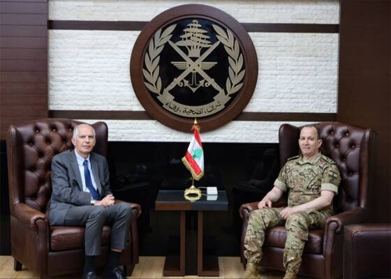 هيكل بحث مع السفير الفرنسي دعم الجيش ومرحلة ما بعد اليونيفيل