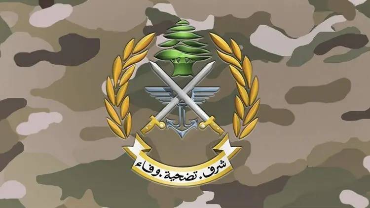 الجيش يفجّر ذخائر غير منفجرة في الناعمة
