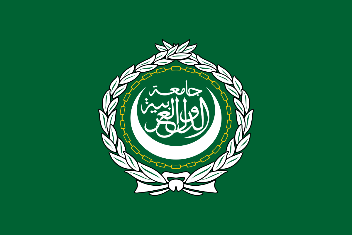 عوائق "النظام الاقليمي العربي" وإصلاحات نبيل فهمي