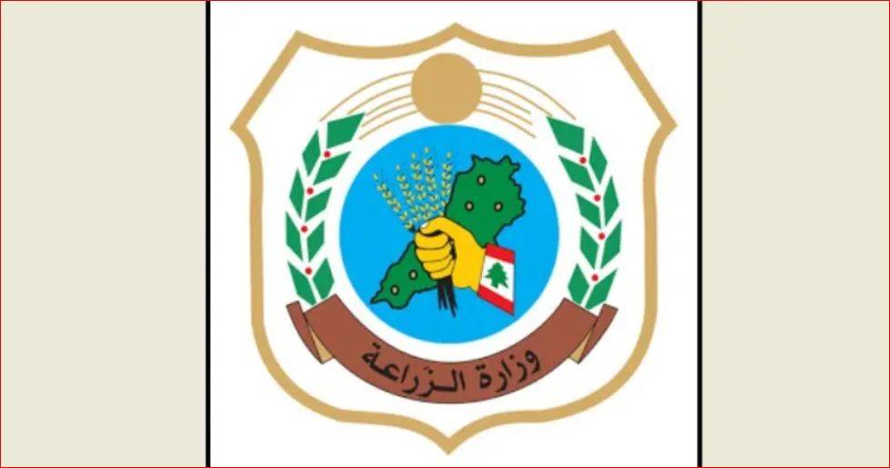 "الزراعة" تبدأ إزالة الشباك المخالفة لحماية الثروة السمكية