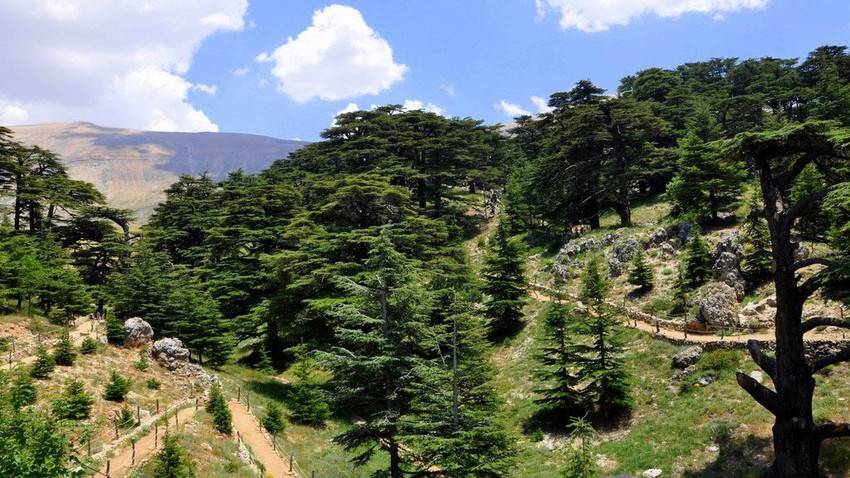أجواء صيفية اعتيادية في لبنان... والحرارة ضمن معدلاتها الموسمية