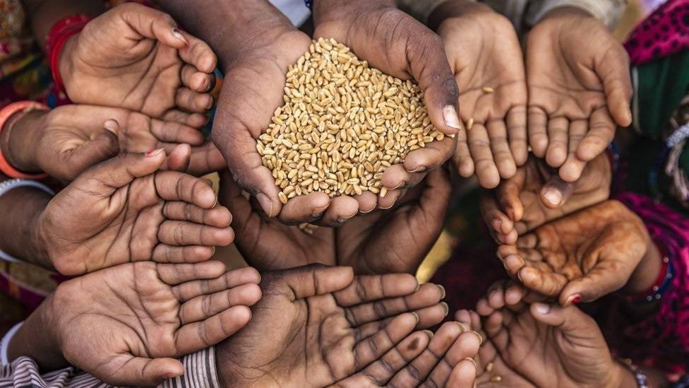 تقرير أممي: تراجع الجوع عالمياً  لكن 645 مليون شخص ما زالوا يعانون نقص الغذاء