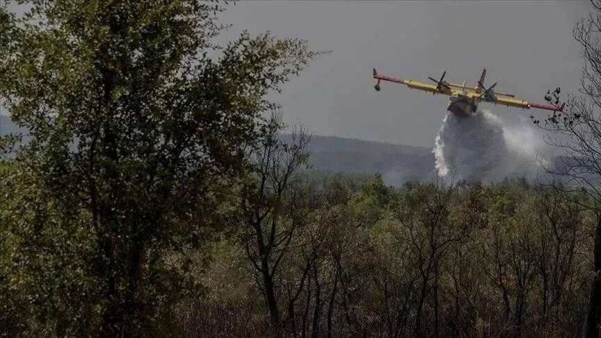 إخماد حرائق الغابات في المغرب بعد احتراق 12 هكتارًا من الغطاء الحرجي