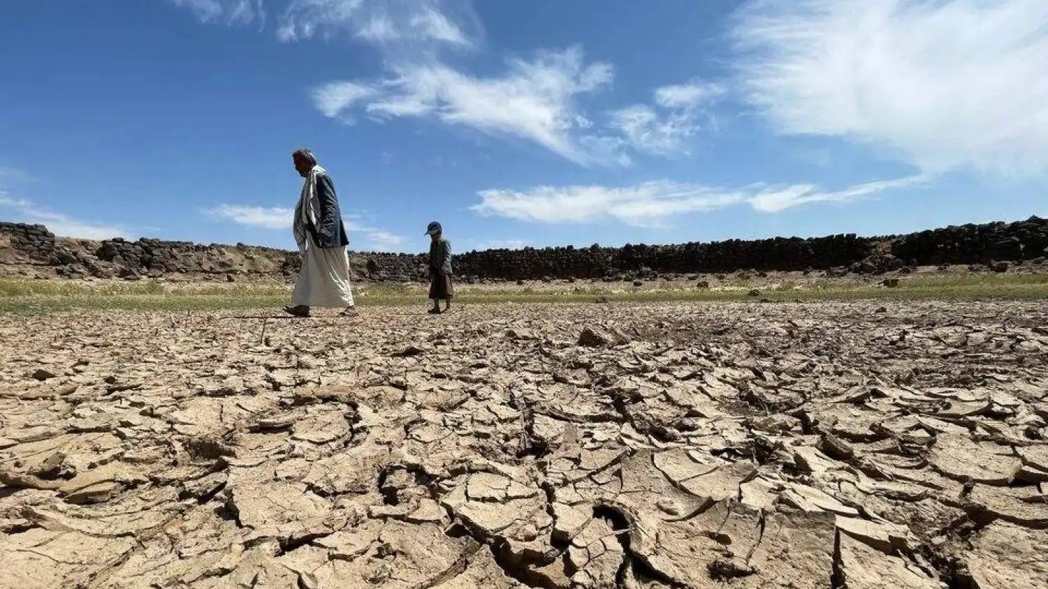فاو تحذر: اليمن يواجه موجة جفاف تهدد بتفاقم أزمة الجوع