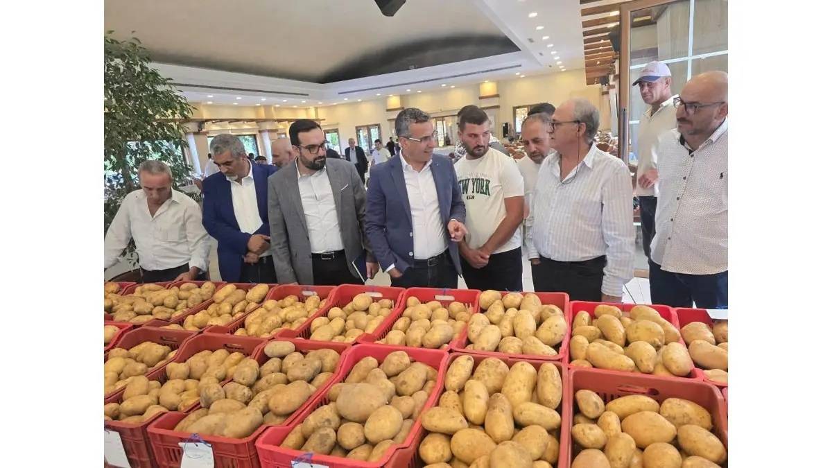 إطلاق صنف البطاطا الجديد "فاجا" في البقاع لتعزيز الإنتاج الزراعي