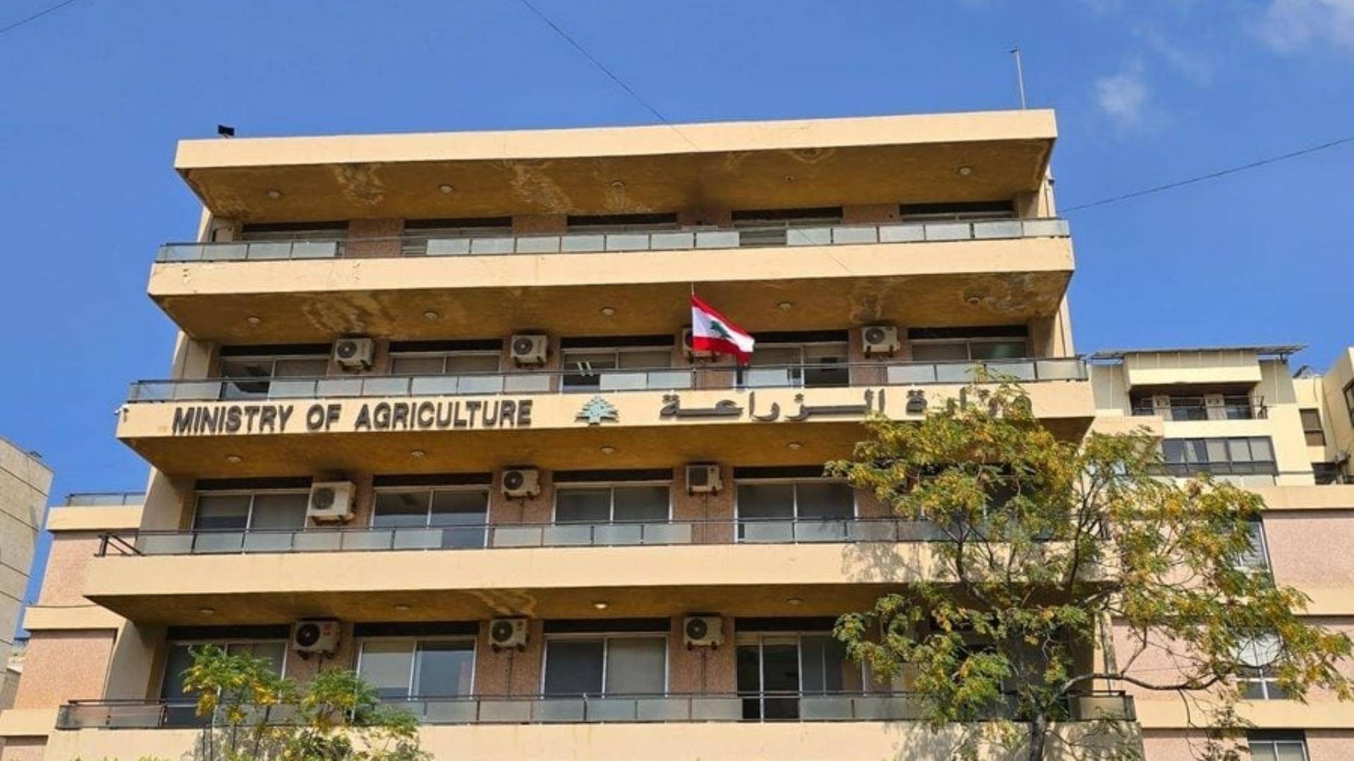 وزارة الزراعة تصادر ضبعًا مخططًا في عمشيت وتباشر تأهيله