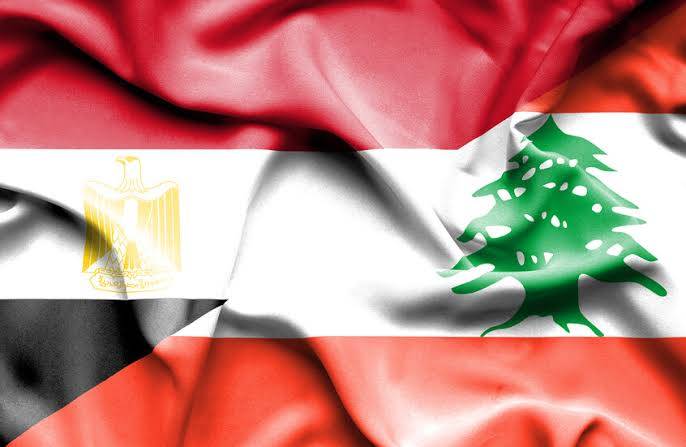 اتصال بين رجي وعبد العاطي.. بحث في الأوضاع الإقليمية ومسار المفاوضات