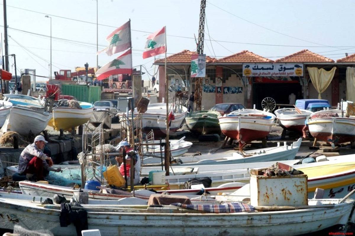 صيادو لبنان يطالبون بقانون عصري يحمي حقوقهم ويحافظ على الثروة البحرية